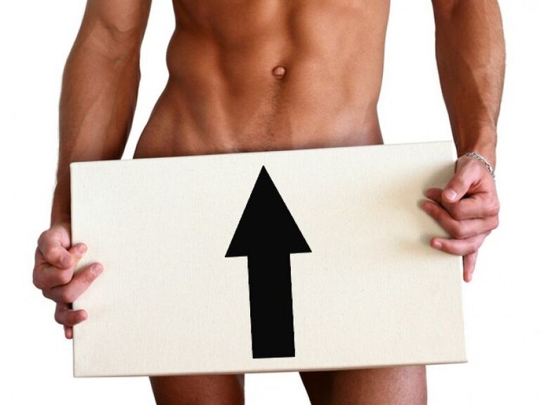 increase the size of the penis